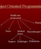 Chapter 9 - Object-Oriented Programming Inheritance