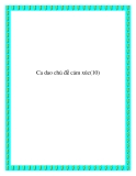 Ca dao chủ đề cảm xúc con người
