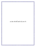 ca dao chủ đề tình anh em