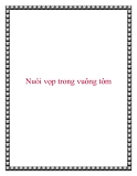 Nuôi vọp trong vuông tôm.Vọp là thực phẩm có giá trị dinh dưỡng cao, thịt ngon, có vị ngọt, được nhiều người ưa chuộng. Tuy nhiên, những năm gần đây nguồn vọp tự nhiên ngày càng cạn kiệt, thay vào đó là loại vọp nuôi lồng, bè chất lượng thịt không ngon 
