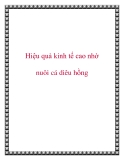 Hiệu quả kinh tế cao nhờ nuôi cá diêu hồng