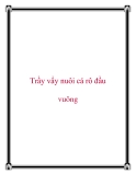 Trầy vẩy nuôi cá rô đầu vuông