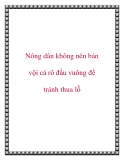 Nông dân không nên bán vội cá rô đầu vuông để tránh thua lỗ
