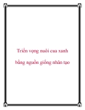 Triển vọng nuôi cua xanh bằng nguồn giống nhân tạo