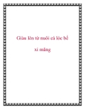 Giàu lên từ nuôi cá lóc bể xi măng