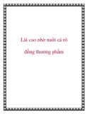 Lãi cao nhờ nuôi cá rô đồng thương phẩm