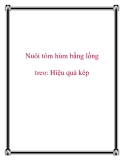 Nuôi tôm hùm bằng lồng treo: Hiệu quả kép