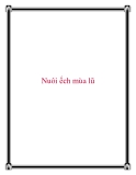 Nuôi ếch mùa lũ