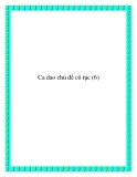 Ca dao dân gian chủ đề cổ tục 
