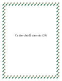  14 Ca dao chủ đề tâm lý, cảm xúc
