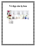 Vẻ đẹp của lọ hoa