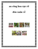 Ban công hoa rực rỡ đón xuân về