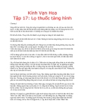 Kính vạn hoa (Nguyễn Nhật Ánh) - Tập 17 Lọ thuốc tàng hình