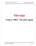  Tiểu luận: Công ty 100% vốn nước ngoài