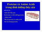 Proteins và  Amino Acids trong dinh dưỡng thủy sản