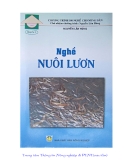 Nghề nuôi lươn