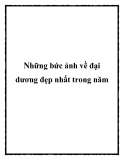 Những bức ảnh về đại dương đẹp nhất trong năm
