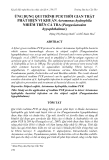 BÁO CÁO "  ỨNG DỤNG QUI TRÌNH PCR THỜI GIAN THẬT PHÁT HIỆN VI KHUẨN Aeromonas hydrophila NHIỄM TRÊN CÁ TRA (Pangasianodon hypophthalmus) "