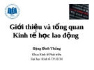 Giới thiệu và tổng quan kinh tế học lao động