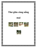 Thư giãn cùng nắng mai