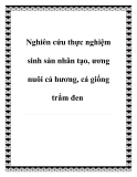 Nghiên cứu thực nghiệm sinh sản nhân tạo, ương nuôi cá hương, cá giống trắm đen