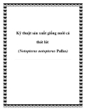 Kỹ thuật sản xuất giống nuôi cá thát lát (Notopterus notopterus Pallas)