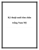 Kỹ thuật nuôi tôm chân trắng Nam Mỹ