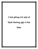 Cách phòng trừ bệnh thường gặp ở tôm hùm