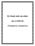 Kỹ thuật sinh sản nhân tạo cá thát lát (Notopterus notopterus)