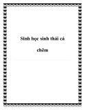 Sinh học sinh thái cá chẽm