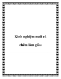 Kinh nghiệm nuôi cá chẽm làm giàu