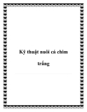 Các kỹ thuật nuôi cá chim trắng