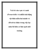 Vai trò của vẹm vỏ xanh  và nhiều loài động vật thân mềm hai mảnh vỏ (Bivalvia) khác trong việc lọc mùn bã hữu cơ làm sạch môi trường