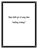 Bạn biết gì về ung thư buồng trứng?