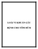 LOÀI VI KHUẨN GÂY BỆNH CHO TÔM HÙM