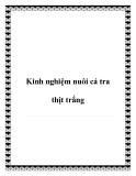 Các kinh nghiệm nuôi cá tra thịt trắng