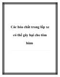 Các hóa chất trong lốp xe có thể gây hại cho tôm hùm