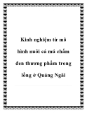 Kinh nghiệm từ mô hình nuôi cá mú chấm đen thương phẩm trong lồng ở Quảng Ngãi