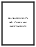 PHÁC ĐỒ TRỊ BỆNH SỮA TRÊN TÔM HÙM BẰNG OXYTETRACYCLINE