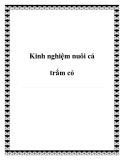 Kinh nghiệm nuôi cá trắm cỏ