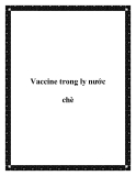 Vaccine trong ly nước chè