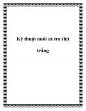 Kỹ thuật nuôi cá tra thịt trắng