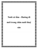 Nuôi cá tầm - Hướng đi mới trong chăn nuôi thuỷ sản