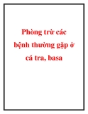 Phòng trừ các bệnh thường gặp ở cá tra, basa