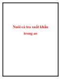 Nuôi cá tra xuất khẩu trong ao