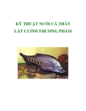 KỸ THUẬT NUÔI CÁ THÁT LÁT CƯỜM THƯƠNG PHẨM