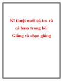 Kĩ thuật nuôi cá tra và cá basa trong bè