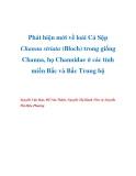 Phát hiện mới về loài Cá Sộp Channa striata (Bloch) trong giống Channa, họ Channidae ở các tỉnh miền Bắc và Bắc Trung bộ