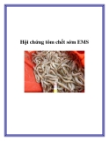 Hội chứng tôm chết sớm EMS