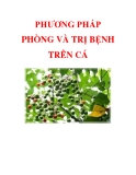 PHƯƠNG PHÁP PHÒNG VÀ TRỊ BỆNH TRÊN CÁ